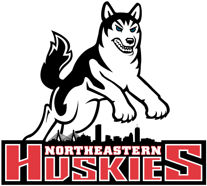 Northeastern Huskies 2001-2006 Primary Logo diy iron on heat transfer